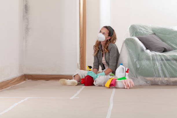 Reliable Mold Remediation contractor in Mount Sinai, NY by WQB Mold Removal
